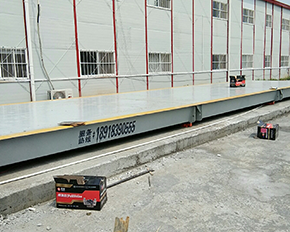 宿遷專業的小型草莓视频APP下载地址