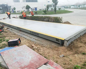 深圳專業的數字式草莓视频APP下载地址